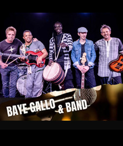 Baye Gallo